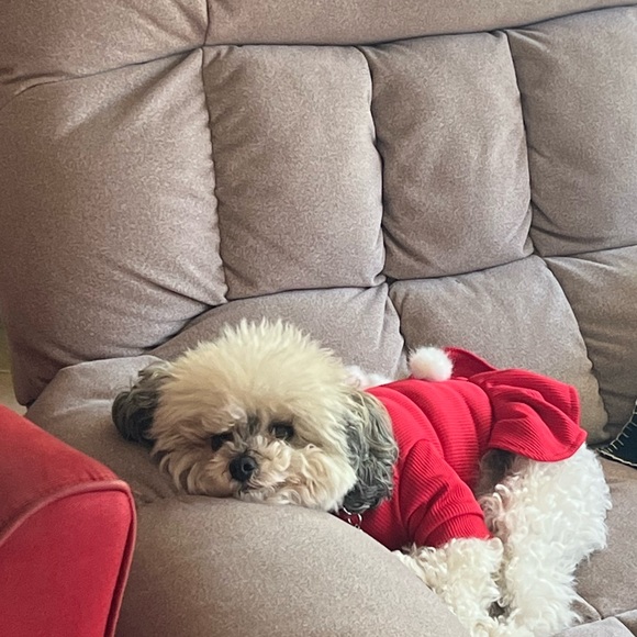 Meet your Posher, Oliviaodc - Picture 7 of 10